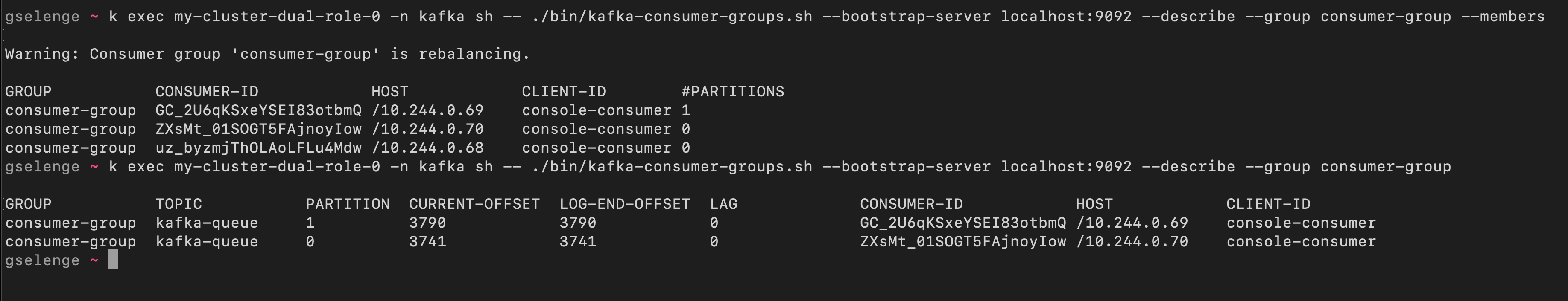 Consumer group describe